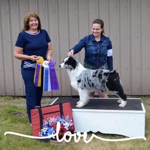 Meet your Posher, Toni